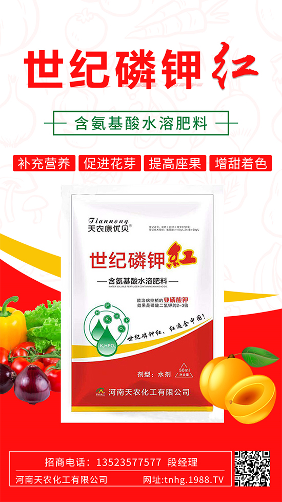 ���������ʲô���������˽����