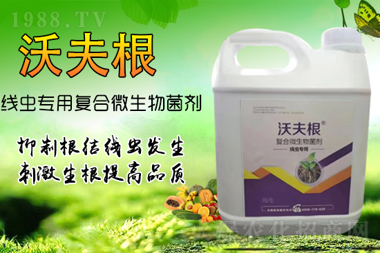 根結(jié)線(xiàn)蟲(chóng)侵染作物根部？教你幾招，不反彈效果更!