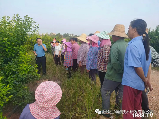 走進(jìn)田間地頭，助力柑橘產(chǎn)業(yè)