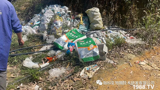 走進(jìn)田間地頭，助力柑橘產(chǎn)業(yè)