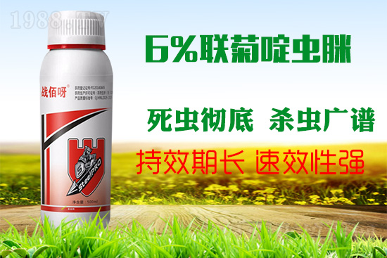 �������x���l(f��)�l��������ע����ǰ�������ׂ�(g��)��(du��)���p�ɸ㶨��