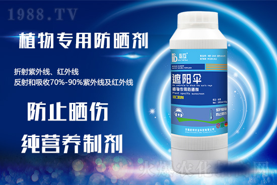 �ߜ������u������������E�[���쿴�������ˆ�? 