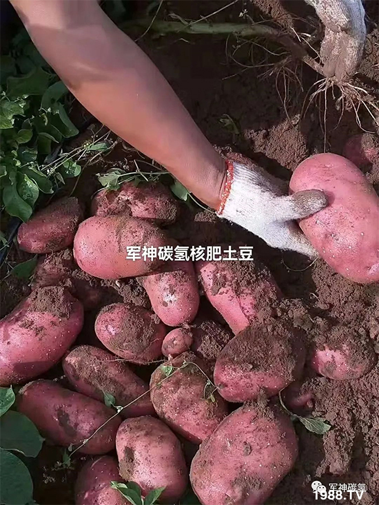山東軍神碳氫生物科技有限公司28