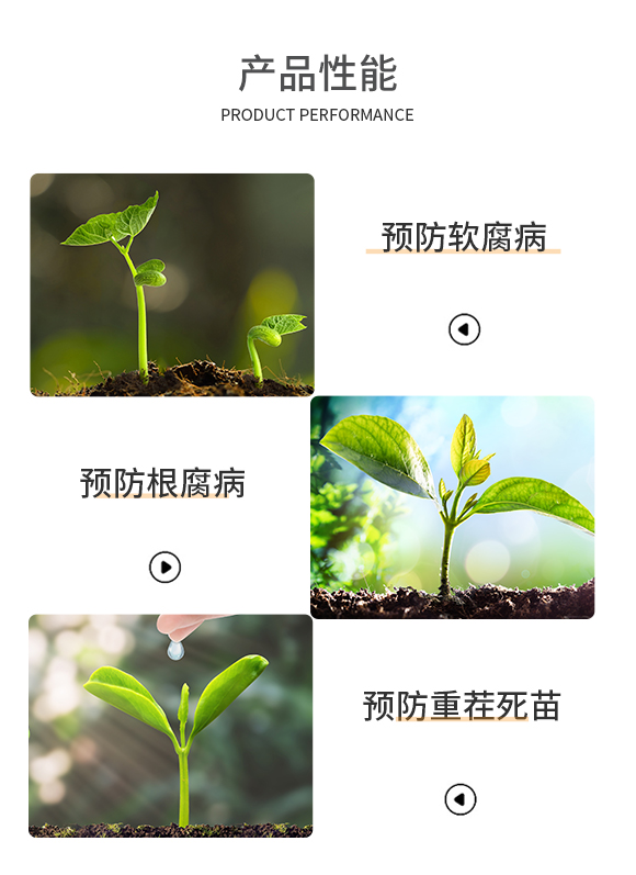 �����A�ź㶼�Ƽ�����؟(z��)�ι�˾-�ο�ֲ��(932593)_04