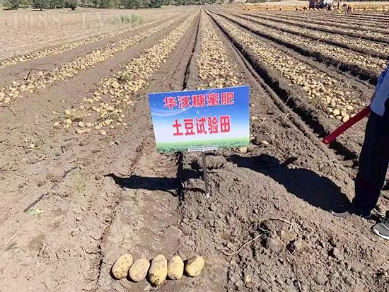     這款糖蜜肥農(nóng)資圈瘋傳！原料天然，低成本高肥效開創(chuàng)者！