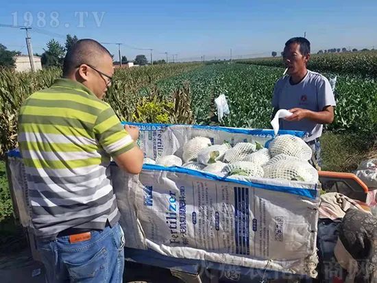     這款糖蜜肥農(nóng)資圈瘋傳！原料天然，低成本高肥效開創(chuàng)者！