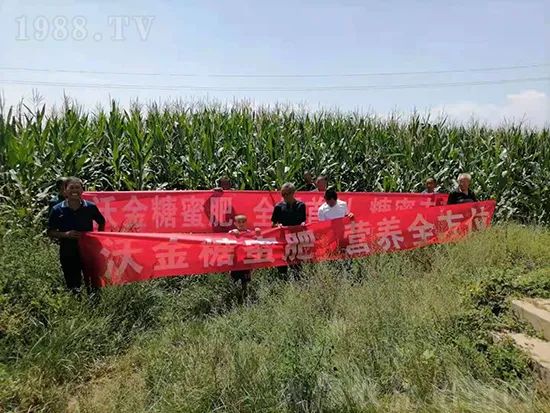     這款糖蜜肥農(nóng)資圈瘋傳！原料天然，低成本高肥效開創(chuàng)者！