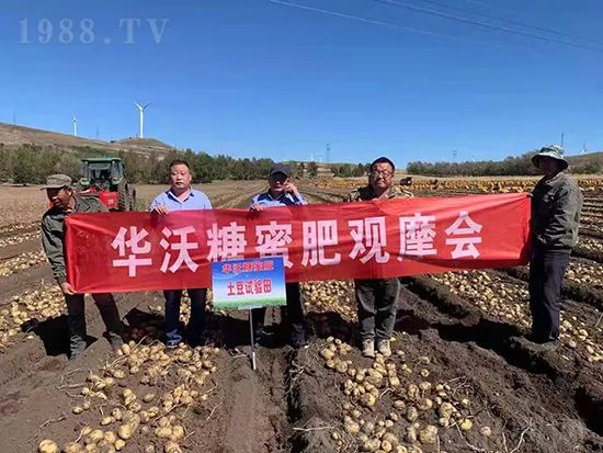     這款糖蜜肥農(nóng)資圈瘋傳！原料天然，低成本高肥效開創(chuàng)者！