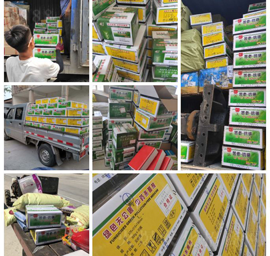 “植物癌癥-病毒病”被攻克了！純中草藥“殺菌霸主”