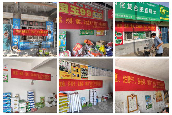 “植物癌癥-病毒病”被攻克了！純中草藥“殺菌霸主”