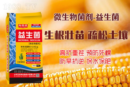 ������������Ѹ����L�ݸ�ïʢ���W(xu��)���@Щ�°빦����