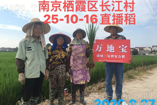 ˮ�����Y���Ì��a���ж��Ӱ������Mˮ�����Y��ô����