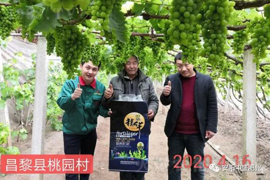 ����ܛ����ʲôԭ������η��Σ�