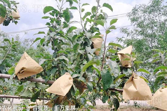     ����(sh��)�״���ɜp���r(n��ng)ˎ���������ƹ��ӵ����^Ʒ�|(zh��)���ɴ����߹�Ʒ�u���������׳��۲��u���߃r(ji��)�����Թ����״�Ŀǰ��Ȼ���҇�(gu��)���@����Ҫ�����������״��O��������Ǻã�Ҳ�ٲ�����