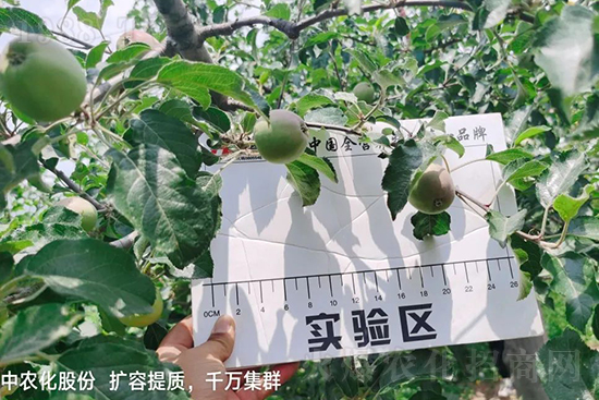     ����(sh��)�״���ɜp���r(n��ng)ˎ���������ƹ��ӵ����^Ʒ�|(zh��)���ɴ����߹�Ʒ�u���������׳��۲��u���߃r(ji��)�����Թ����״�Ŀǰ��Ȼ���҇�(gu��)���@����Ҫ�����������״��O��������Ǻ���Ҳ�ٲ�����