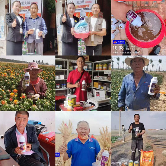 玉米追肥復(fù)合肥好還是尿素好？很多人都錯(cuò)了！它才是正確選擇