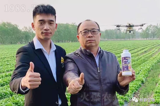 玉米追肥復(fù)合肥好還是尿素好？很多人都錯(cuò)了！它才是正確選擇