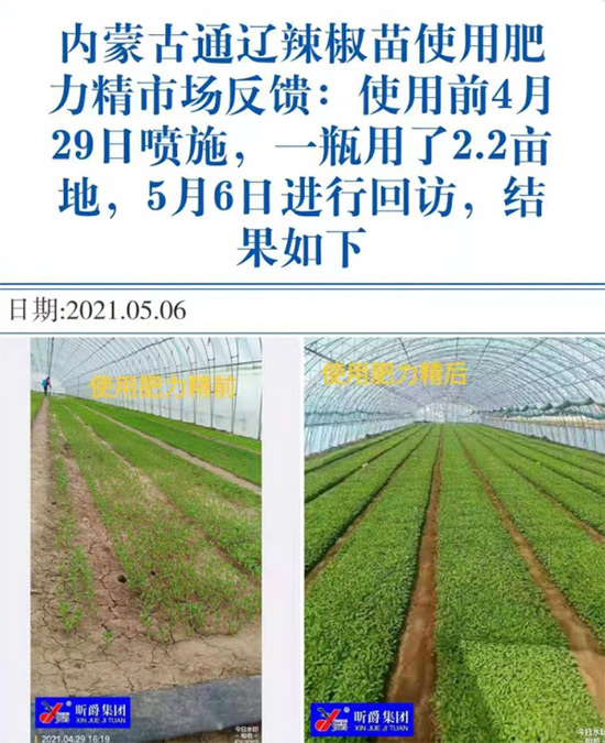 玉米追肥復(fù)合肥好還是尿素好？很多人都錯(cuò)了！它才是正確選擇