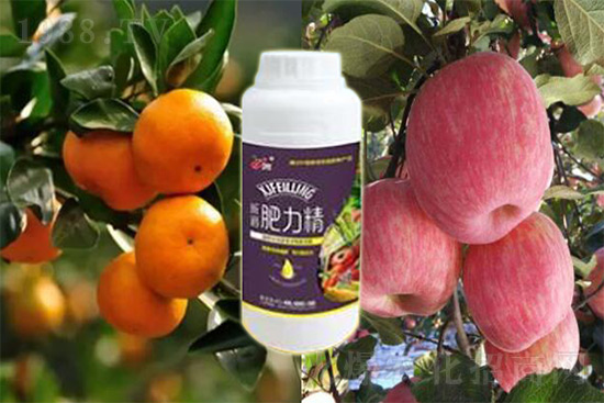 玉米追肥復(fù)合肥好還是尿素好？很多人都錯(cuò)了！它才是正確選擇