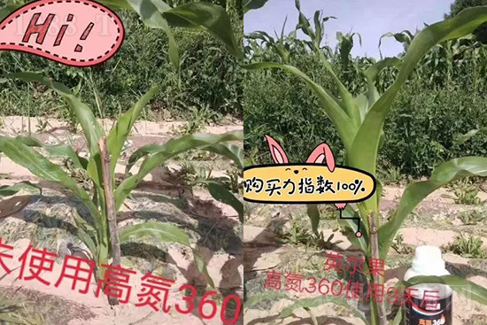 Һ�w��������Щ��(y��u)�c��Һ�w�������������׷�ʆ᣿