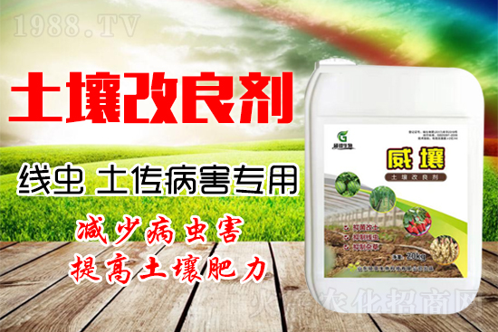 222������Y(ji��)���x������������(y��n)��������һ�з�������