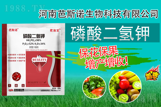 �������⛾����@�����r�g�c�����e�^���±����룡