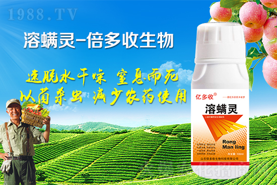 夏季二斑葉螨爆發(fā)怎么辦？二斑葉螨應該怎樣防治？