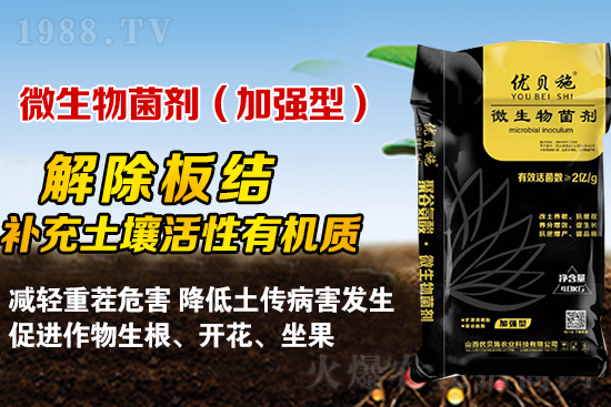 礦源黃腐酸鉀你了解多少？礦源黃腐酸鉀遇見微生物菌劑有啥奇妙反應(yīng)？