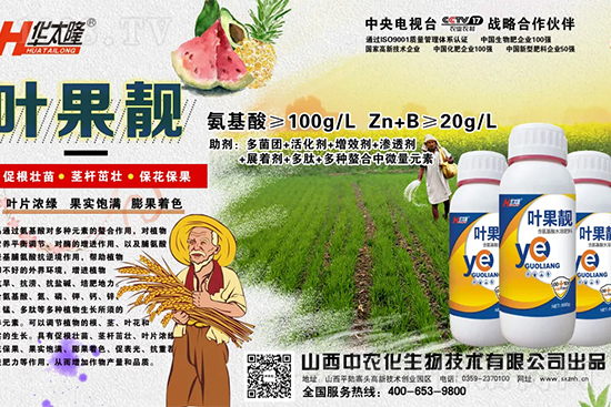     �O������С��ʲôԭ������Q��������Щ��