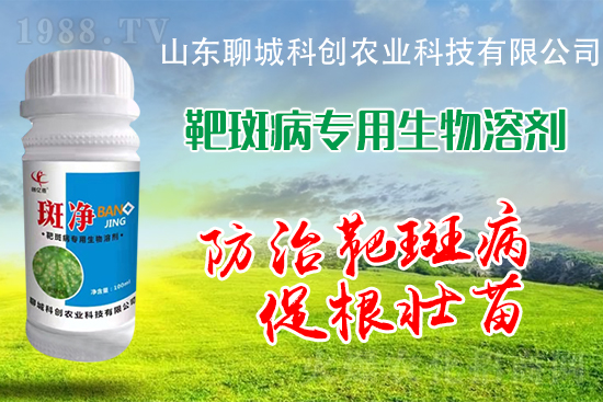 �S�ϰа߲�Σ��������������δ�ʩ����Щ��