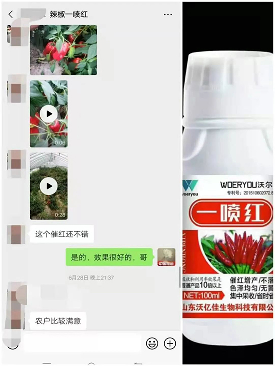 ���t�����95%���߼t�����~�����뷭�׷�����������һ���t��