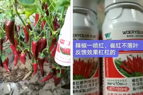 ���t�����95%���߼t�����~�����뷭�׷�����������һ���t��