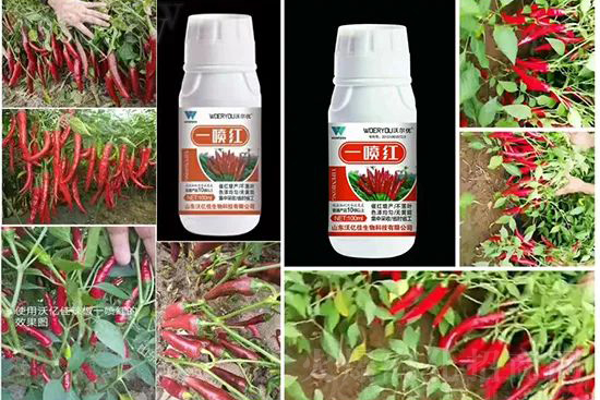 ���t�����95%���߼t�����~�����뷭�׷�����������һ���t��