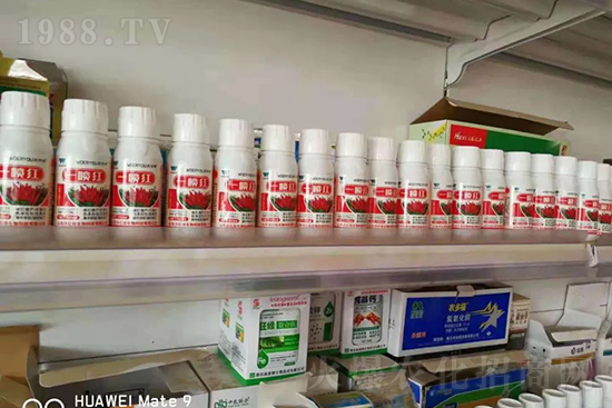 ���t�����95%���߼t�����~�����뷭�׷�����������һ���t��