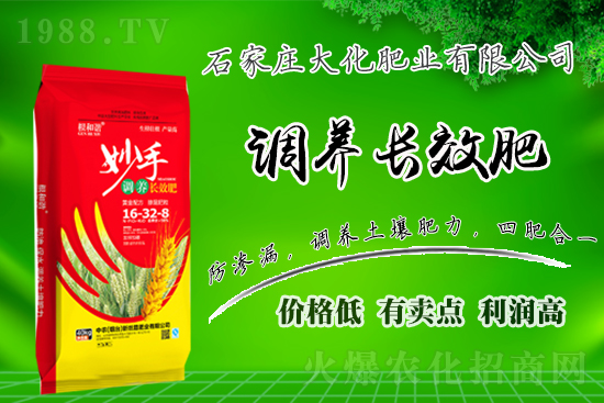 ��(zh��n)�Ժ�����������ʯ���f�󻯷ʘI(y��)�ٴκ��s1988.TV��