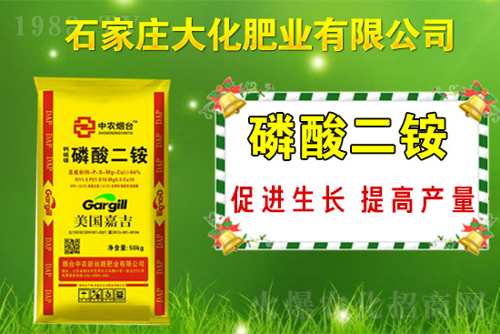 ��(zh��n)�Ժ�����������ʯ���f�󻯷ʘI(y��)�ٴκ��s1988.TV��