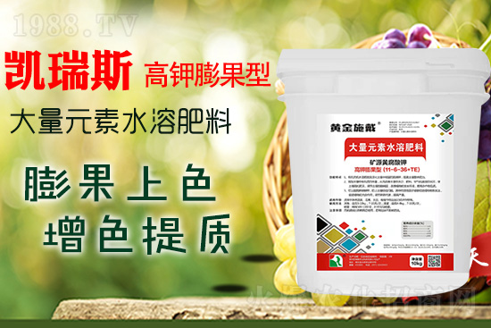     ���M���������ɫ���@���䷽�ʛ]�e���������|���a��