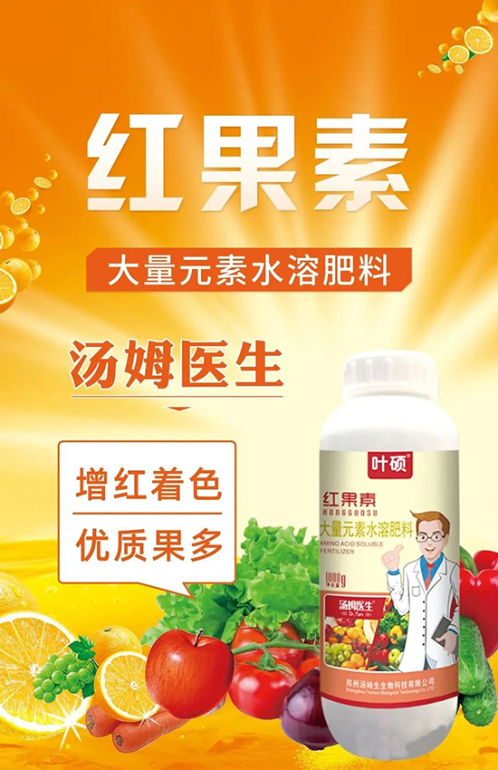 �t���ء�ֻ���D(zhu��n)ɫ�������D(zhu��n)ɫ���������߼t���ó���