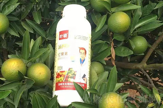 �t���ء�ֻ���D(zhu��n)ɫ�������D(zhu��n)ɫ�졢�����߼t���ó���