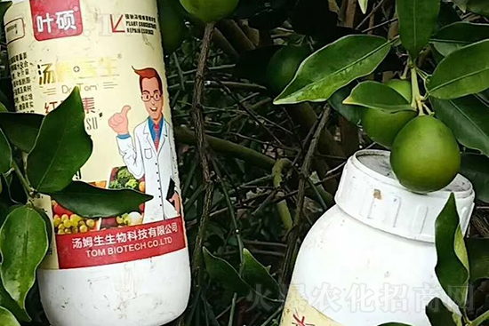 �t���ء�ֻ���D(zhu��n)ɫ�������D(zhu��n)ɫ���������߼t���ó���