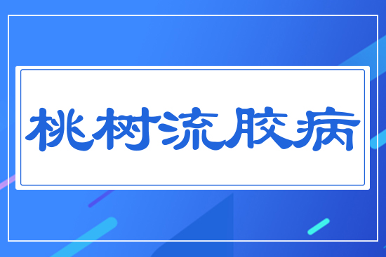 �Ҙ�(sh��)���z��