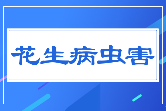 �������x(ch��ng)��