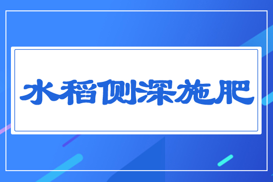 水稻側(cè)深施肥