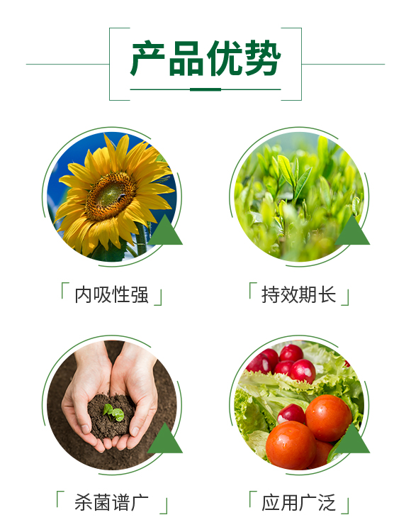 ��̖�r�I(y��)_03