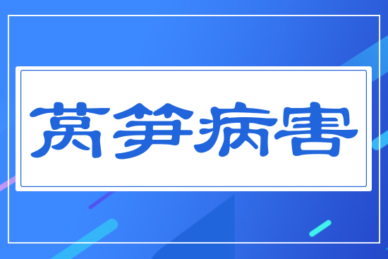 ���n�S����