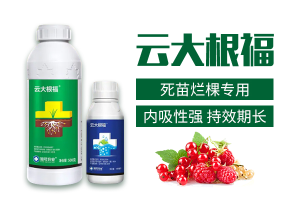 ��̖�r�I(y��)_02