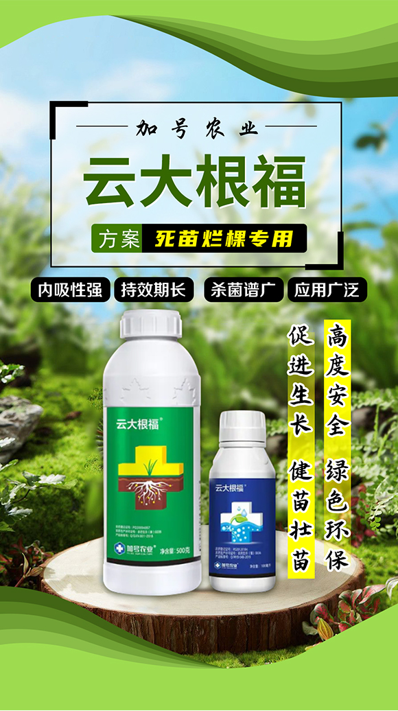 ��̖�r�I(y��)_01