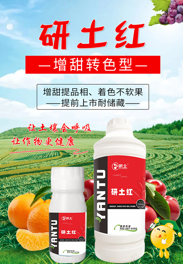 �����D(zhu��n)ɫ�������t-��������_01