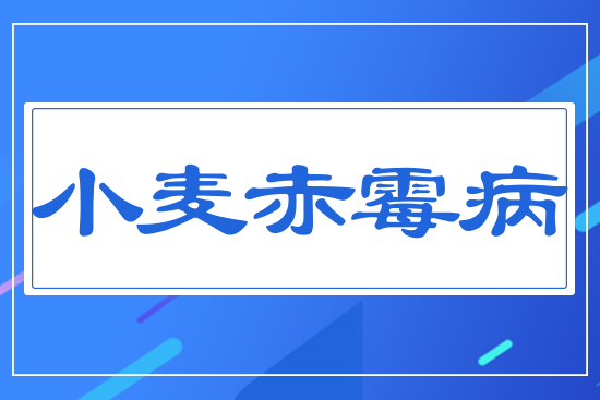 С����ù��