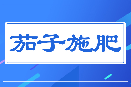 ����ʩ��